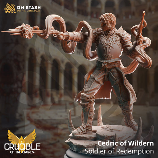 Cedric of Wildern, Soldier of Redemption Miniature | DM Stash | Character Miniature PC/NPC | 32mm Scale