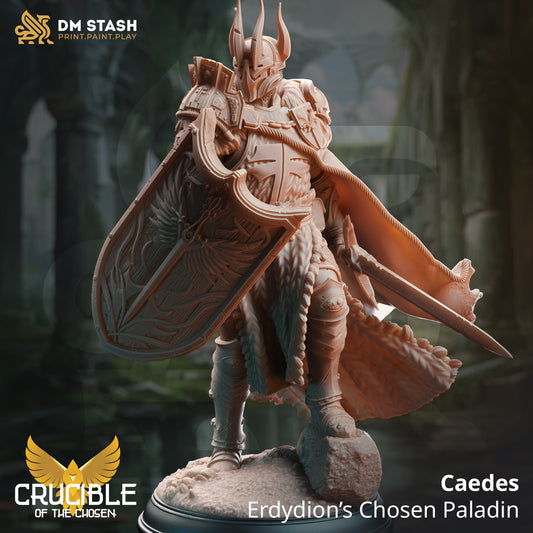 Caedes, Erdydion’s Chosen Paladin Miniature | DM Stash | Character Miniature PC/NPC | 32mm Scale
