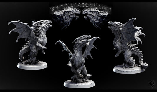 Young White Dragon Miniatures | Mini Monster Mayhem | TTRPG Minis |