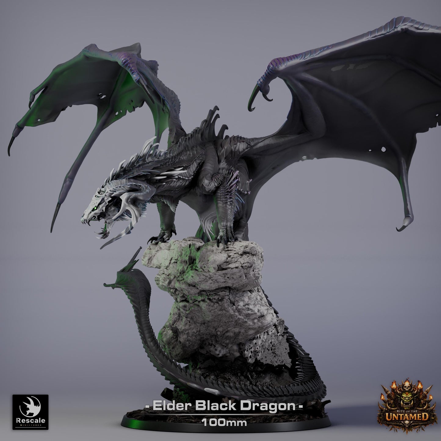 Elder Black Dragon Miniature | Rescale Miniatures | TTRPG | Fantasy Wargaming