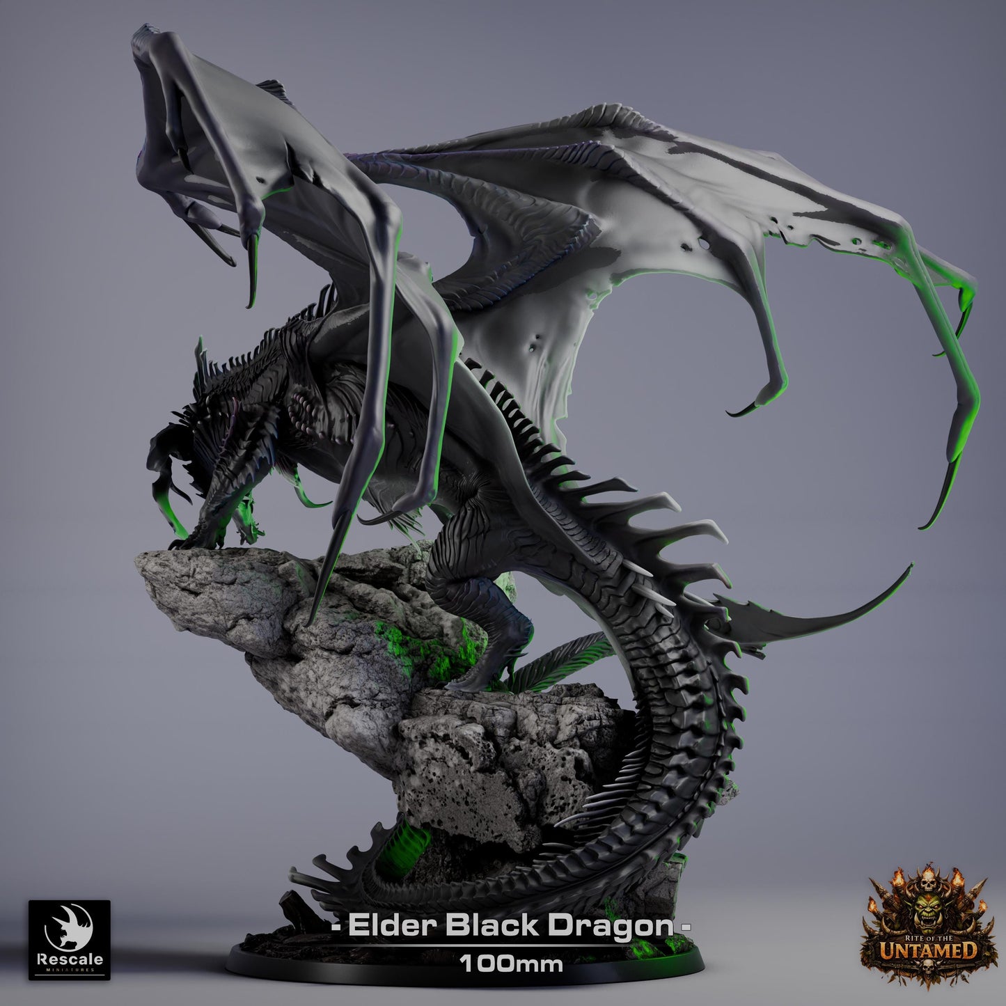 Elder Black Dragon Miniature | Rescale Miniatures | TTRPG | Fantasy Wargaming
