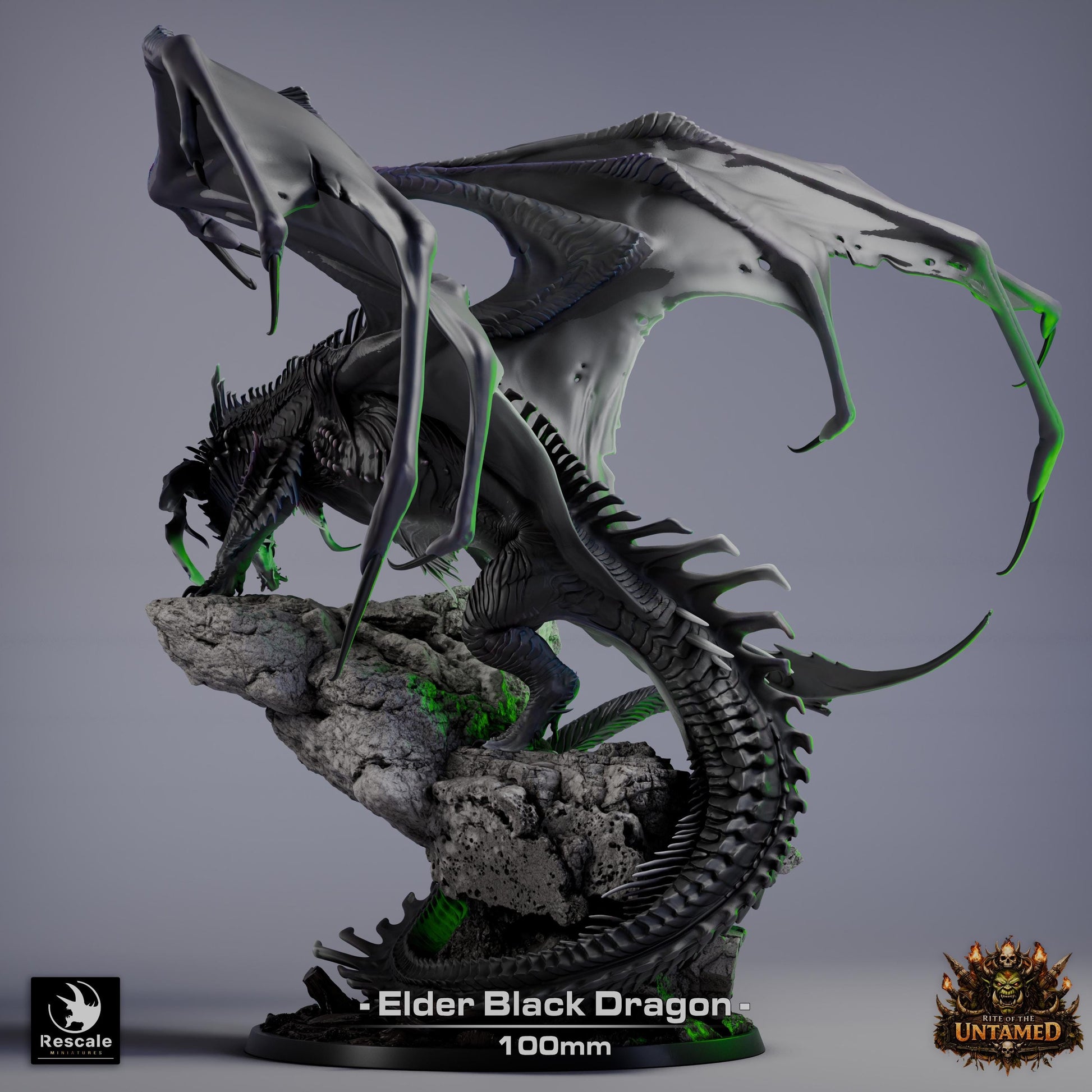 Elder Black Dragon Miniature | Rescale Miniatures | TTRPG | Fantasy Wargaming