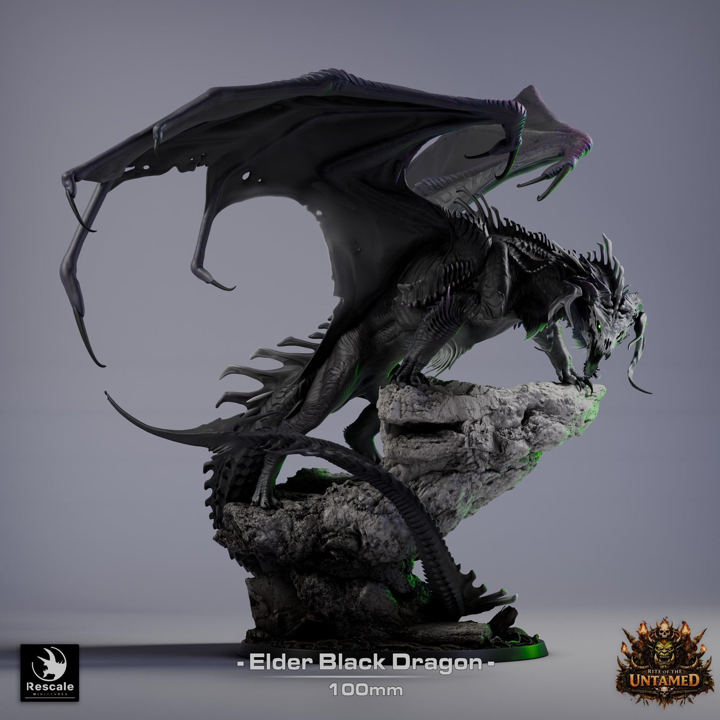 Elder Black Dragon Miniature | Rescale Miniatures | TTRPG | Fantasy Wargaming