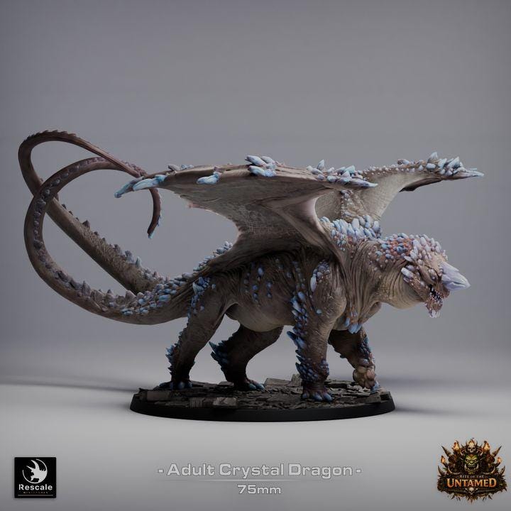 Adult Crystal Dragon Miniature | Rescale Miniatures | TTRPG | Fantasy Wargaming