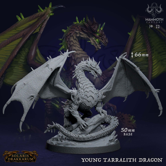 Young Tarralith Dragon Miniature | Mammoth Factory | TTRPGs