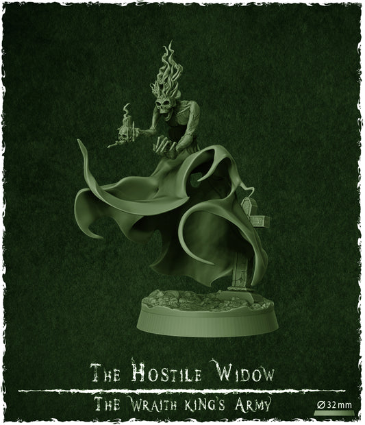 The Hostile Widow